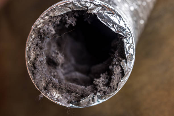Best HVAC Air Duct Cleaning  in Powell, WY